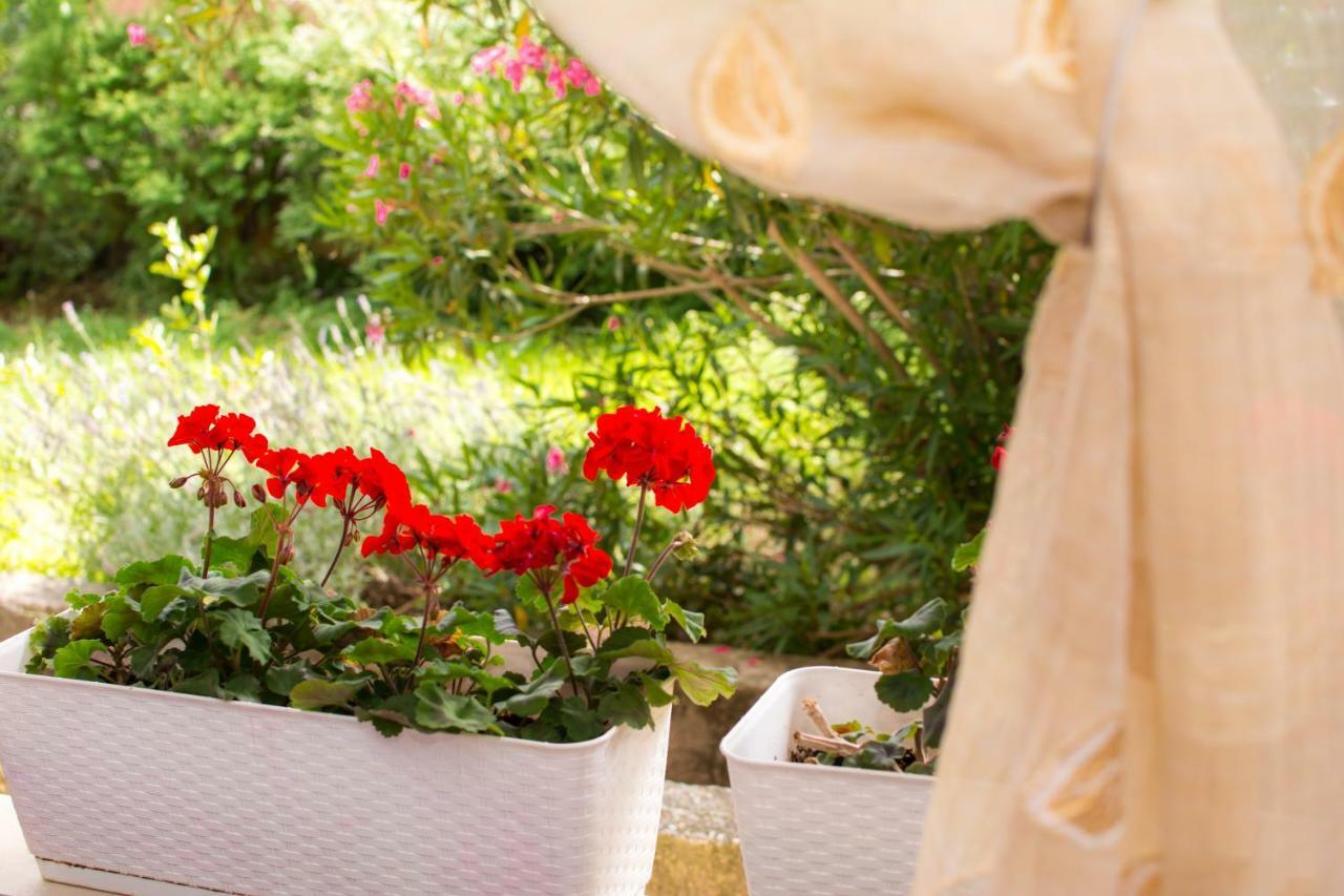 Apartment Vida - Amazing Place With Garden And Terrace Rijeka Luaran gambar
