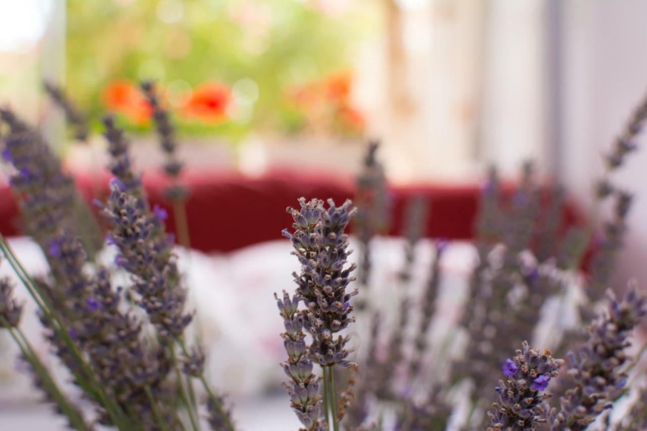 Apartment Vida - Amazing Place With Garden And Terrace Rijeka Luaran gambar